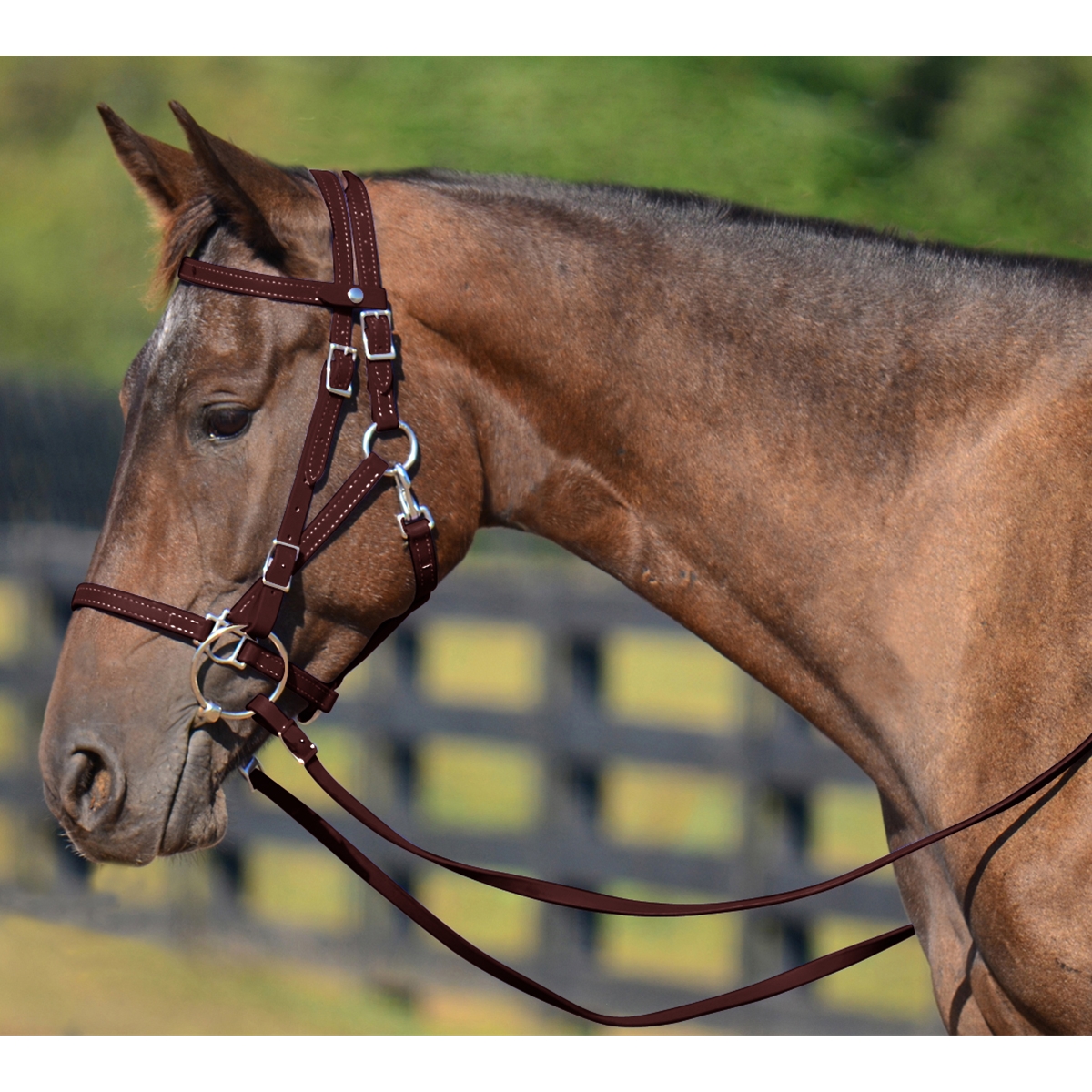 DARK BROWN Quick Change HALTER BRIDLE with Snap on Browband made from BETA  BIOTHANE