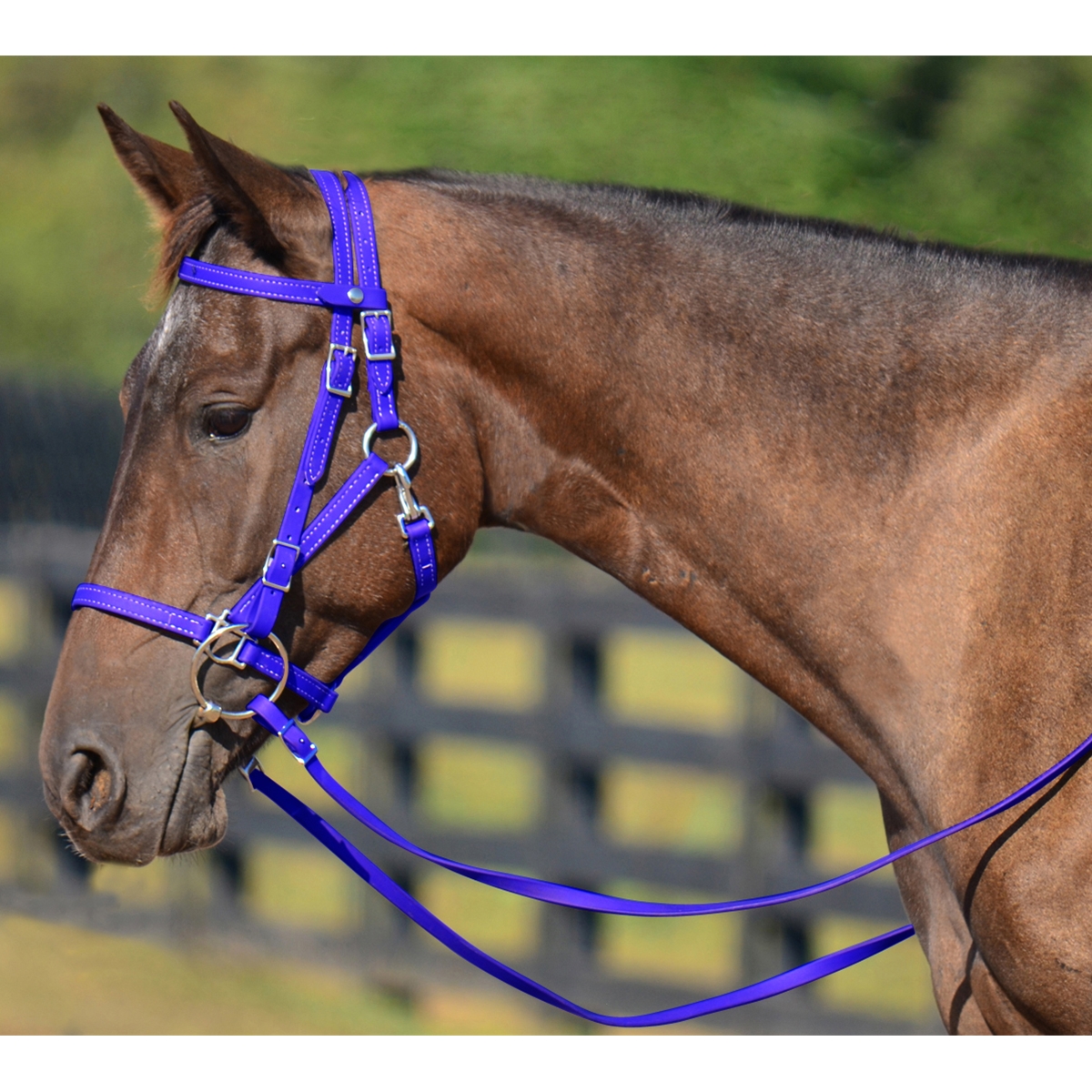 royal blue halter