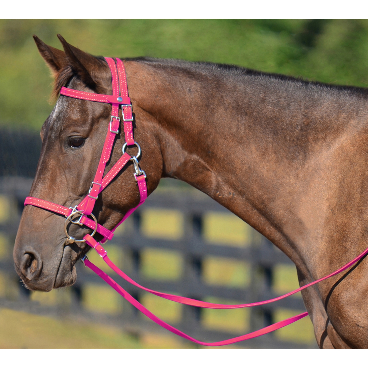 Pink horse 2025 tack