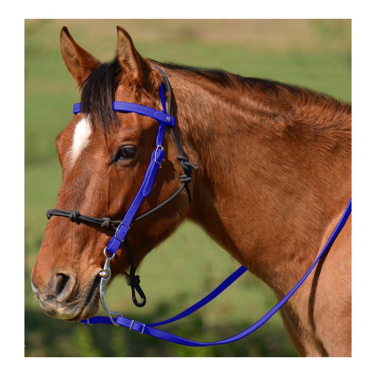 Dark Blue Snap On Browband Western Bridle Made From Beta Biothane