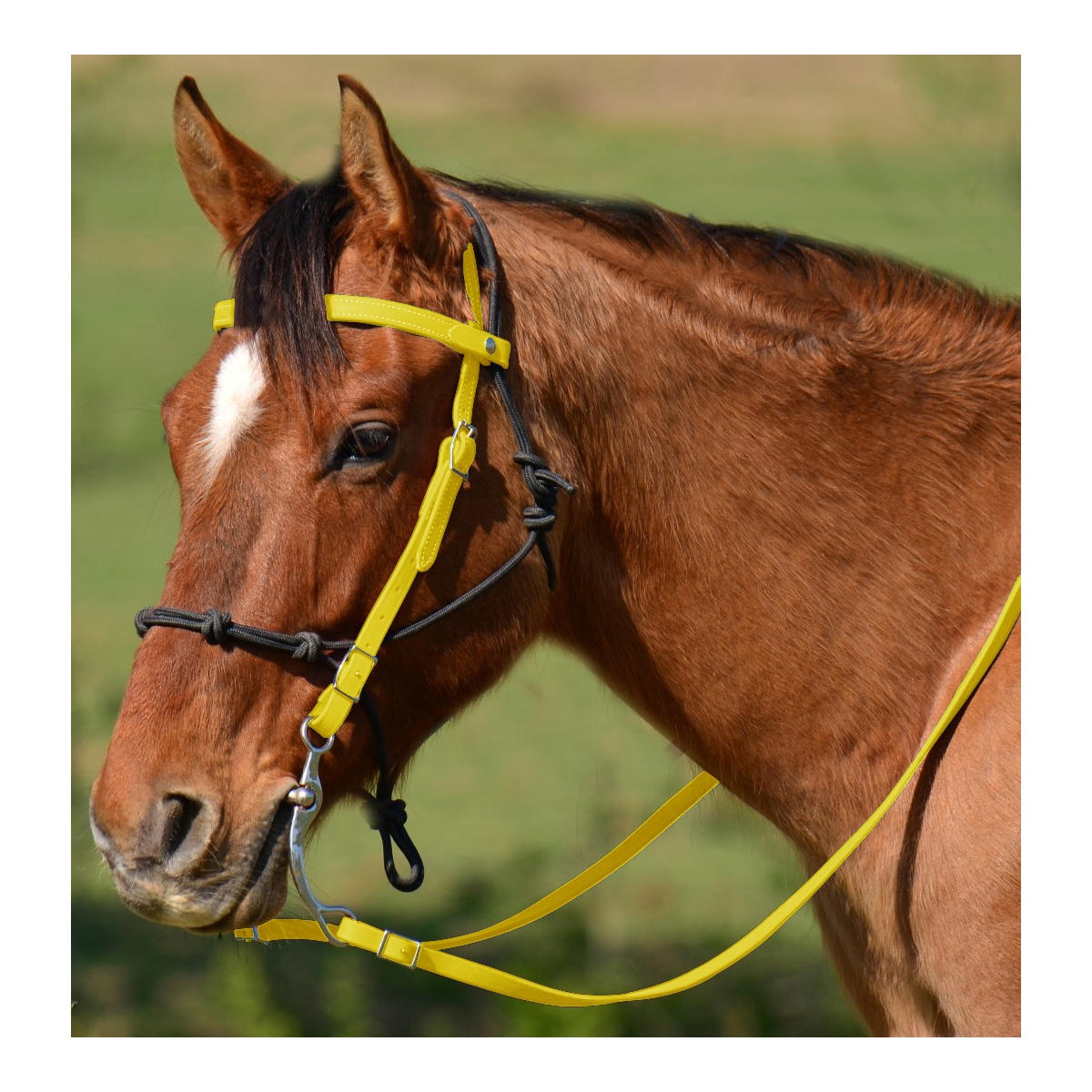 YELLOW Snap on Browband WESTERN BRIDLE made from BETA BIOTHANE