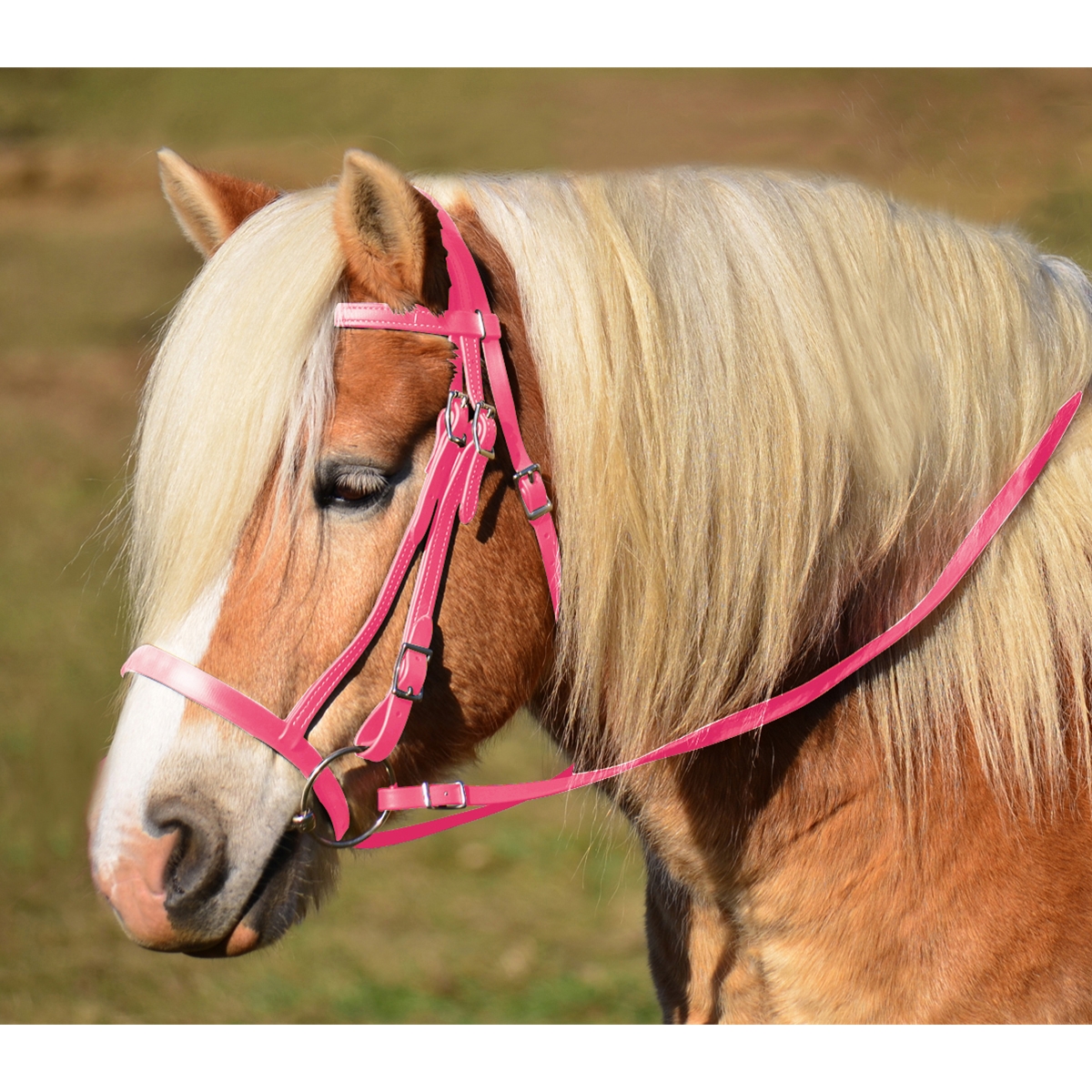 Pink English Hunter Bridles English Horse Hunter For Sale TwoHorseTack