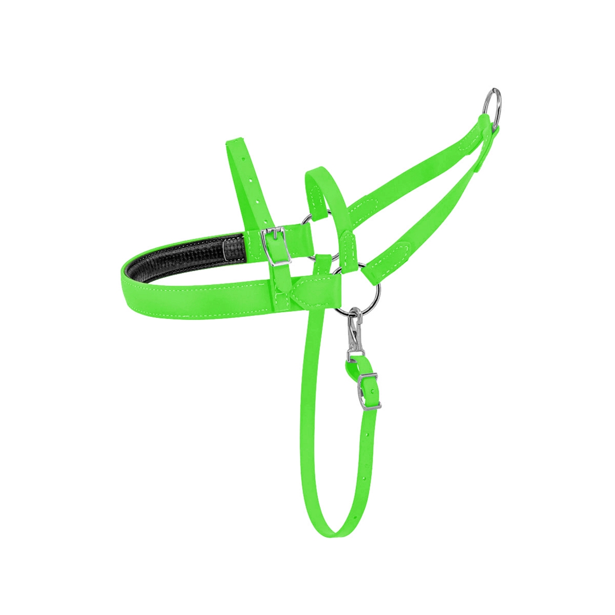 Custom Made Dog Roading Harness Two Horse Tack