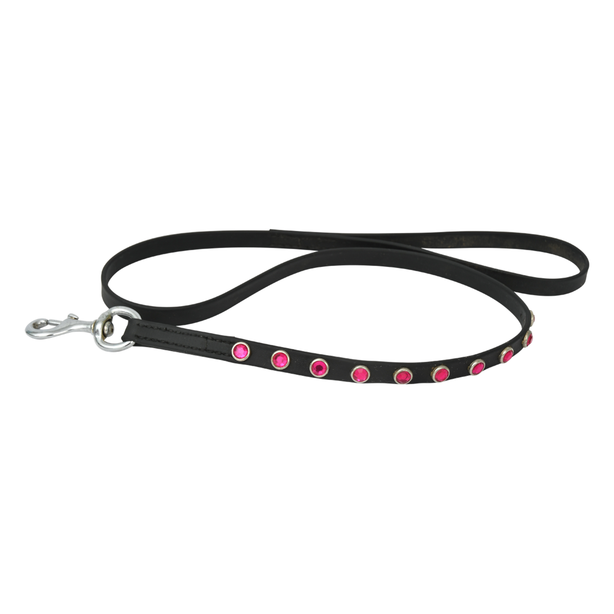 Buy Online Dog Leash Made From Beta Biothane Two Horse Tack