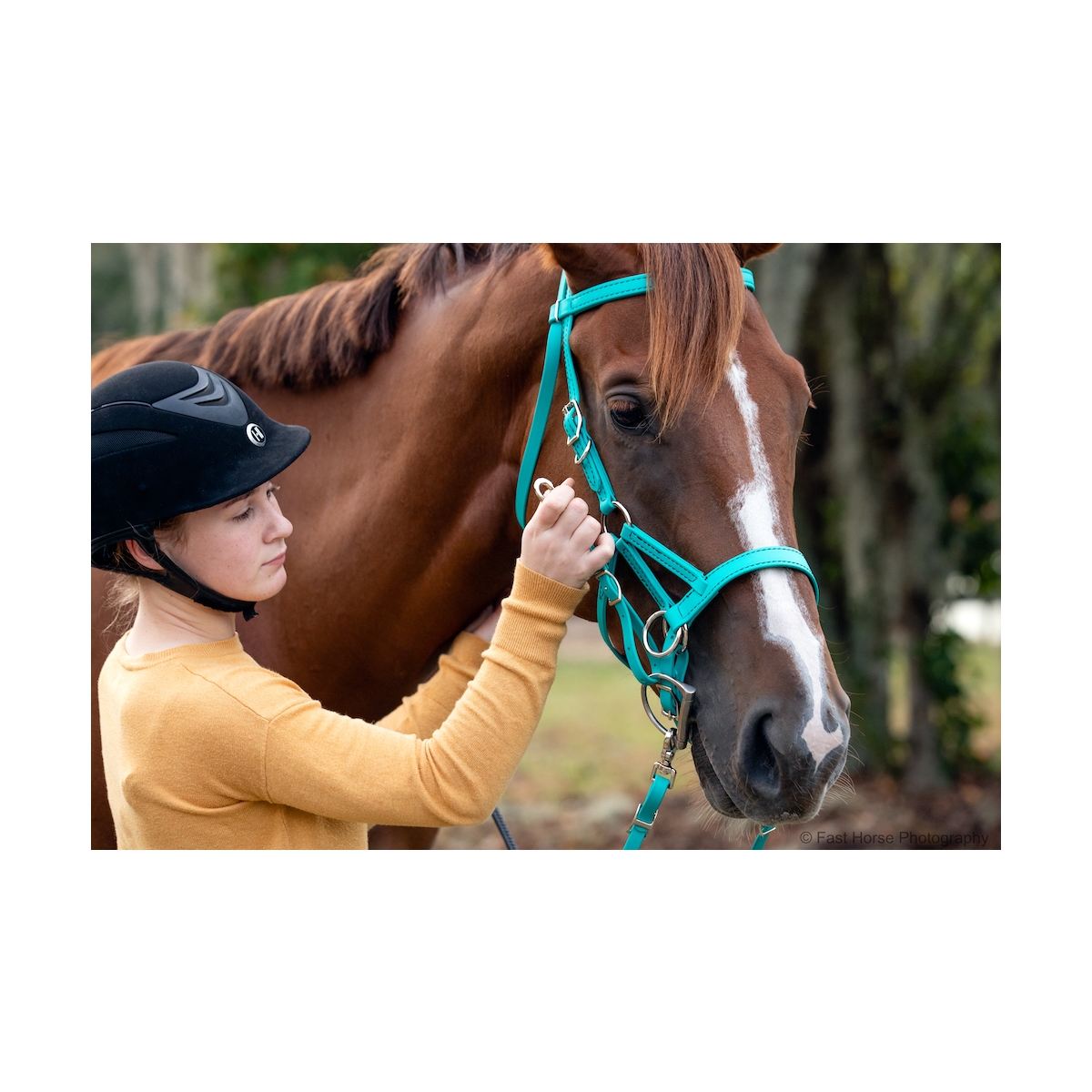 Convertible Bitless Bridle Made From Beta Biothane Two Horse Tack