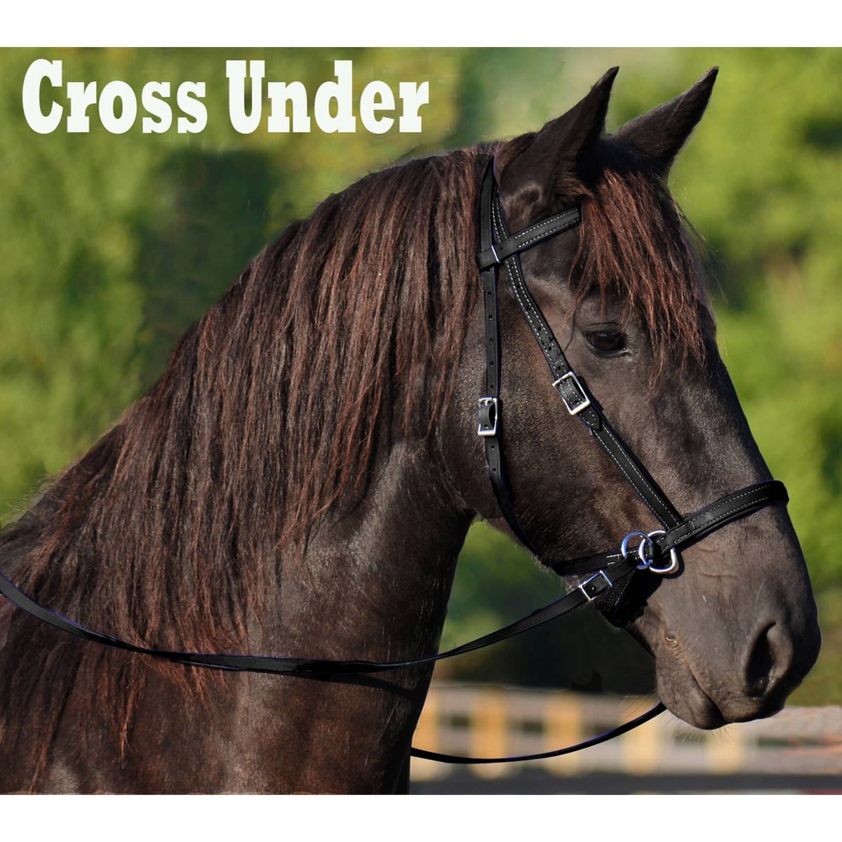 2 in 1 Bitless Bridles for Horses Two Horse Tack