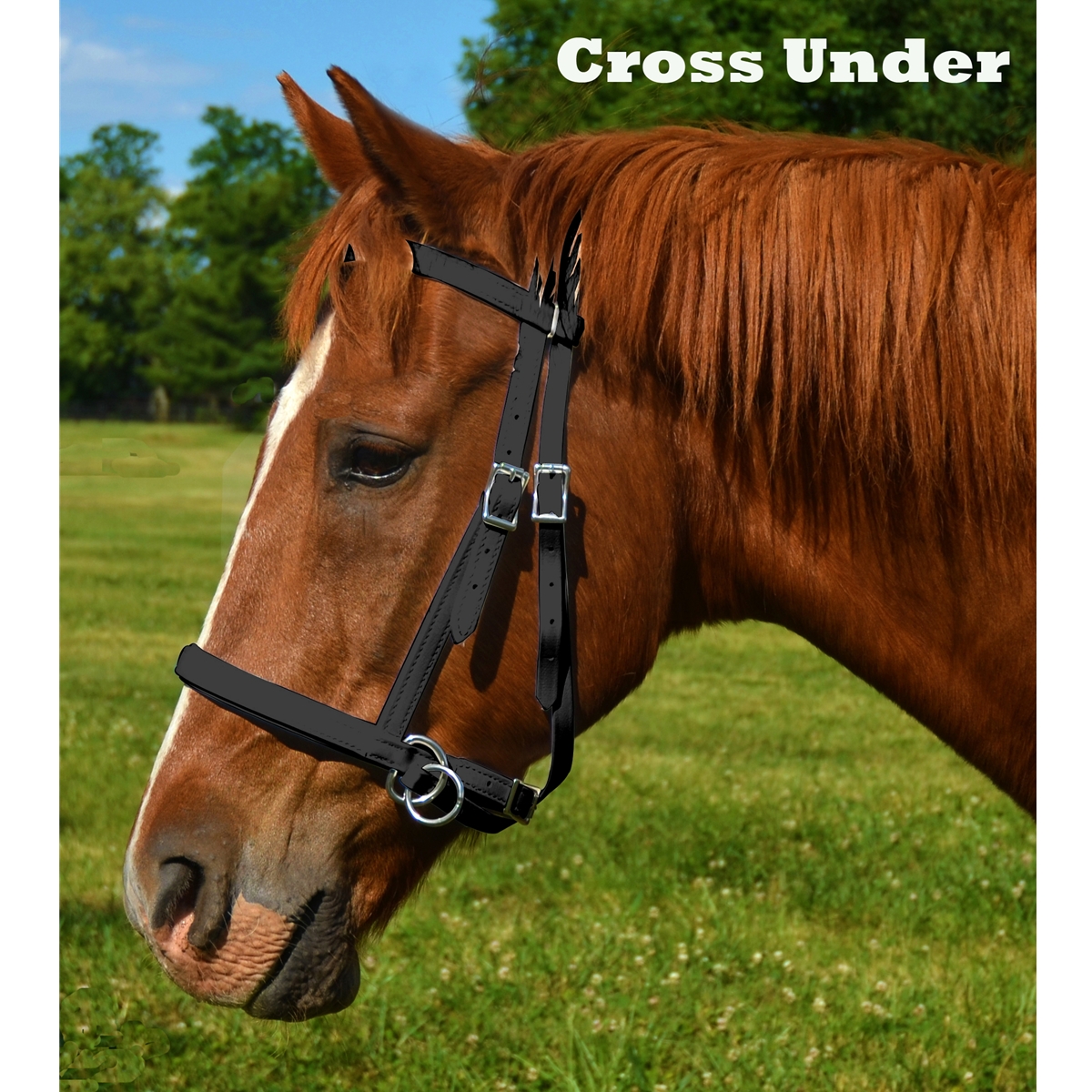 Buy Horse Size 2 in 1 Bitless Bridles for Horses Two Horse Tack