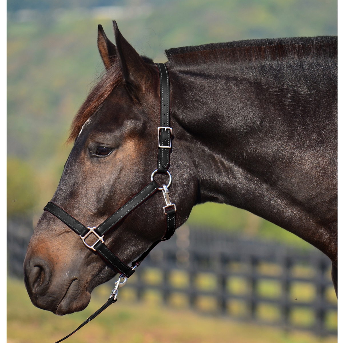 discount tack