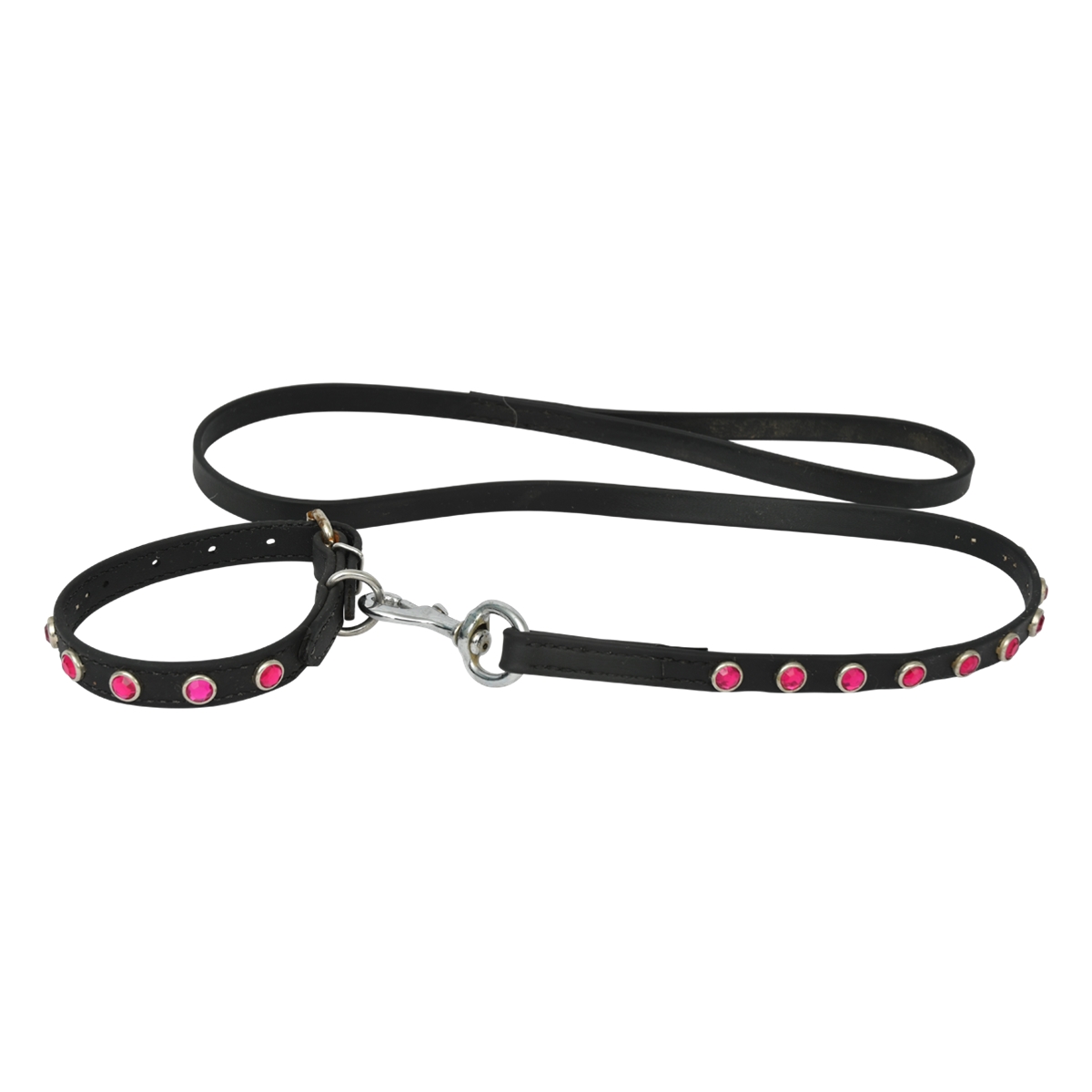 Dog Collar Harness Leads Two Horse Tack