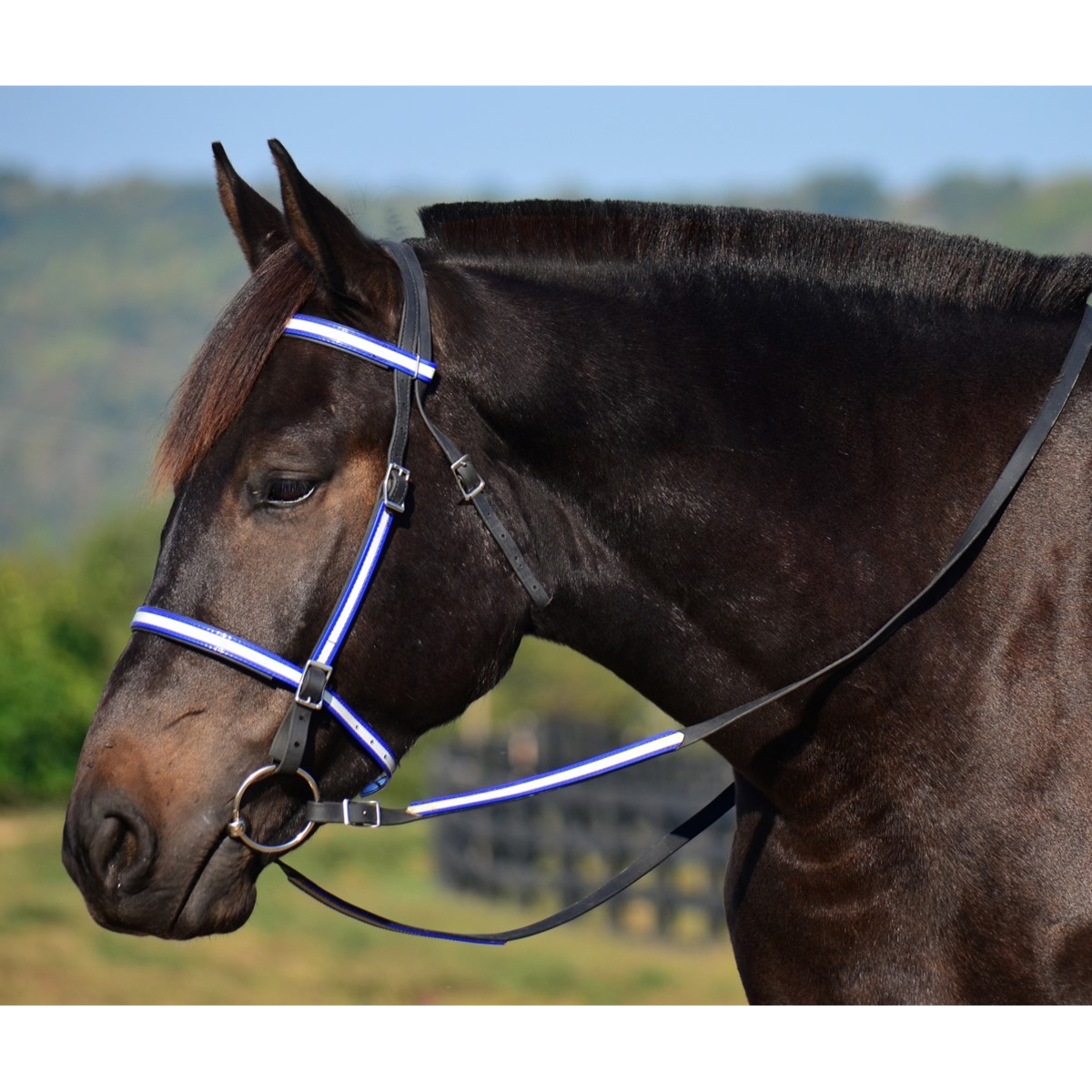 ENGLISH TRAIL BRIDLE with REFLECTIVE DAY GLO Biothane