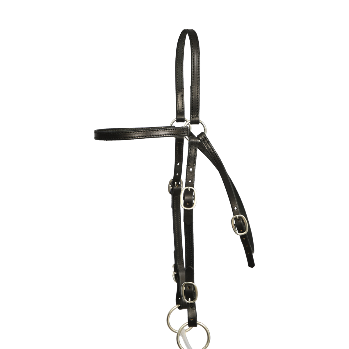 Buy Custom Made Dog Lead Collar Online from Two Horse Tack