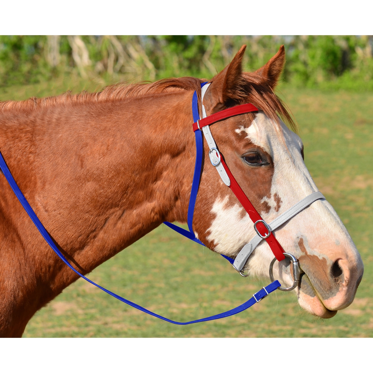Sac/support bridle rouge Tough 1 avec 3 broches crochet cheval tack