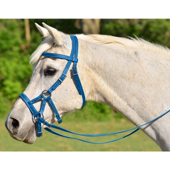 SIDEPULL Bitless Bridle made from BETA BIOTHANE (Solid Colored)