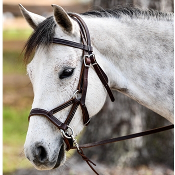 Bitless Bridles