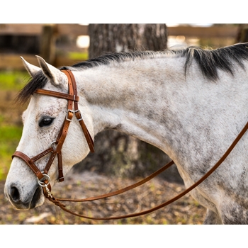 落*生様 ワイルドスワンズ FULL GRAIN BRIDLE / ALARD L字ジップウォレット《アラード》フルグレインブライドル｜WILDSWANS