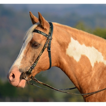 WESTERN BRIDLE (Full Browband) made with CAMOUFLAGE Beta Biothane