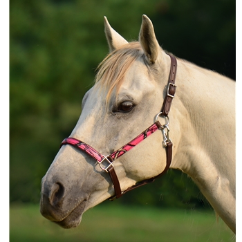 Turnout HALTER & LEAD with CAMOUFLAGE Biothane