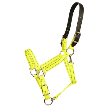 ****CLEARANCE ITEM*** $20 Safety Yellow Beta Biothane Safety Halter with Leather Breakaway Crown - Horse Size