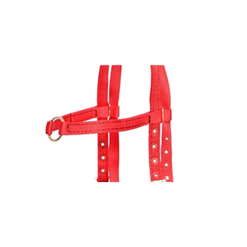 ENGLISH BRIDLE made from Beta Biothane (Solid Colored)