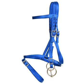 ****CLEARANCE ITEM*** $5 Blue Nylon English Bridle Headstall with Flash Noseband Cavesson - Horse Size