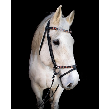 ENGLISH BRIDLE WITH CAVESSON MADE WITH BETA BIOTHANE AND BLING