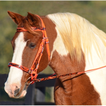 HALTER BRIDLE with BIT HANGERS with CAMOUFLAGE Biothane