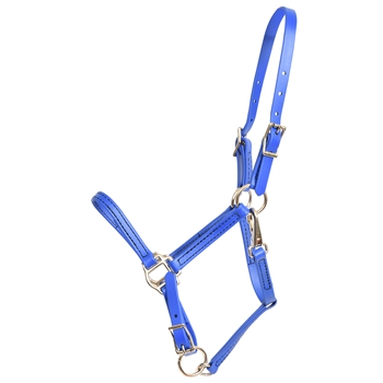 Apple Green Beta Biothane Halter - Any Size, Any Style