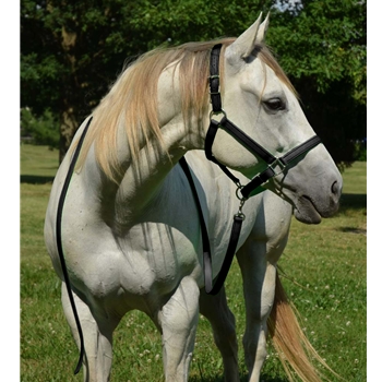 Apple Green Beta Biothane Halter - Any Size, Any Style