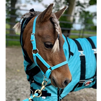 Apple Green Beta Biothane Halter - Any Size, Any Style
