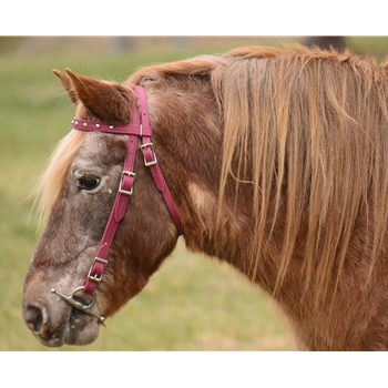 Pony Size Beta Biothane Bridle - Your Choice on Style