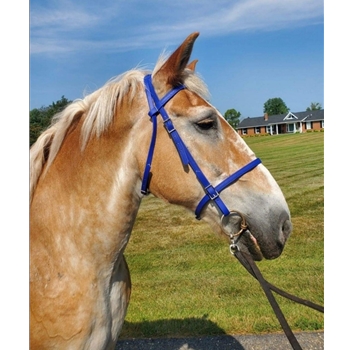 Draft Size Beta Biothane Bridle - Your Choice on Style