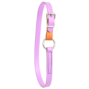 Mini Horse Size Beta Biothane Horse Neck Collar - Any Style