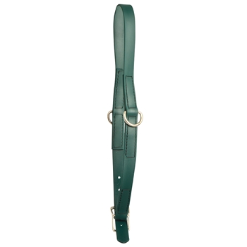 Warmblood/TB/Large Horse/Draft Cross Size Beta Biothane Horse Neck Collar - Any Style