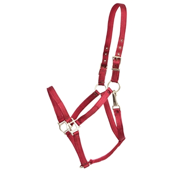 ****CLEARANCE ITEM*** $5 Wine/Burgundy Nylon Halter with Throatlatch Snap - Large Pony Size