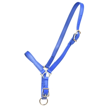 ****CLEARANCE ITEM*** $10 Royal Blue Beta Biothane Grooming Halter - Horse Size