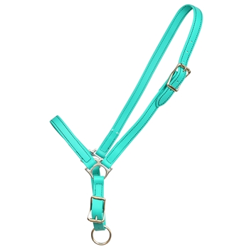 ****CLEARANCE ITEM*** $10 Turquoise Beta Biothane Grooming Halter - Horse Size