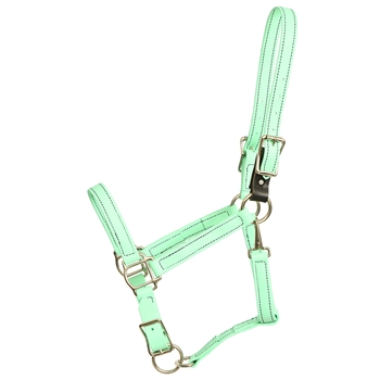 ****PHOTO SAMPLE*** $25 Mint/Seafoam Green Beta Biothane Safety Halter with Leather Breakaway Tab with Throatlatch Snap and Adjustable chin - Horse Size
