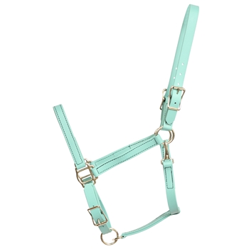 ****CLEARANCE ITEM*** $15 Dusty Turquoise Beta Biothane Halter with Throatlatch Snap and Adjustable Chin - Warmblood/TB/Large Horse/Draft Cross Size