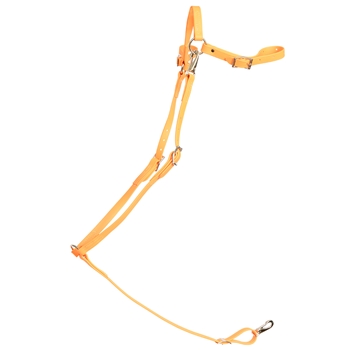 ****PHOTO SAMPLE*** $20 Mango Orange Beta Biothane English Breast Collar - Horse Size