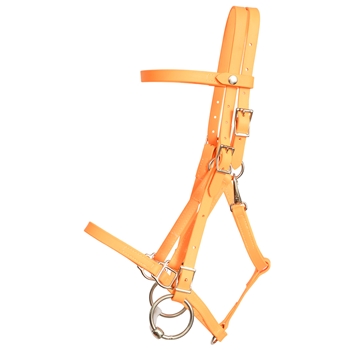 ****PHOTO SAMPLE*** $30 Mango Orange Beta Biothane Quick Change Halter Bridle Headstall - Horse Size