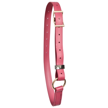 ****PHOTO SAMPLE*** $10 Wine/Maroon Beta Biothane Adjustable Neck Collar - Horse Size