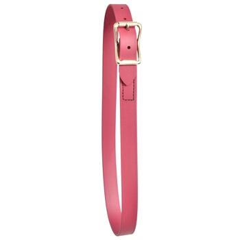 ****PHOTO SAMPLE*** $10 Wine/Maroon Beta Biothane Neck Collar - Horse Size