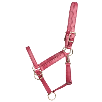 ****PHOTO SAMPLE*** $20 Wine/Maroon Beta Biothane Pack Horse Halter - Horse Size