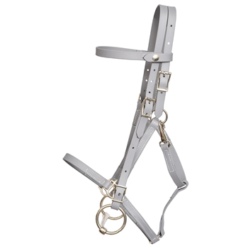 ****PHOTO SAMPLE*** $30 Gray Beta Biothane Quick Change Halter Bridle Headstall - Horse Size