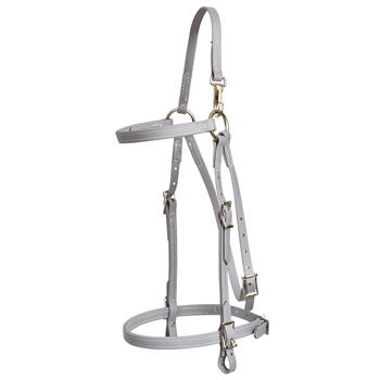 ****PHOTO SAMPLE*** $20 Gray Beta Biothane Mule Bridle Headstall with Noseband - Standard Mule/Horse Size