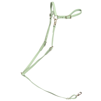 ****PHOTO SAMPLE*** $25 Sage Green English Breast Collar - Horse Size