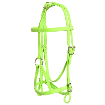 ****PHOTO SAMPLE*** $30 Apple Green Beta Biothane War Bridle Headstall - Horse Size