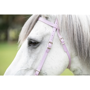 WESTERN BRIDLE (Full Browband) made from BETA BIOTHANE (Solid Colored