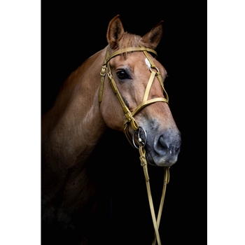 MEDIEVAL BAROQUE WAR or PARADE BRIDLE with reins Beta Biothane