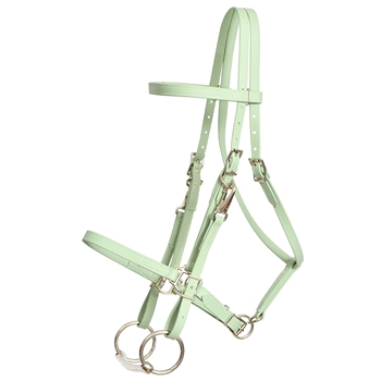 ****PHOTO SAMPLE*** $30 Sage Green Beta Biothane Halter Bridle with Bit Hangers Headstall - Horse Size